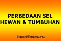 perbedaan sel hewan dan sel tumbuhan