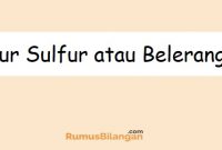 Daur-Sulfur-atau-Belerang