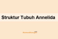 Struktur Tubuh Annelida