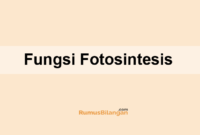 Fungsi Fotosintesis