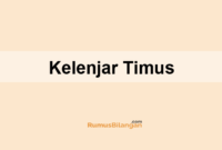 Kelenjar Timus