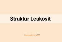 Struktur Leukosit