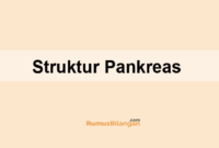 Struktur Pankreas
