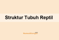 Struktur Tubuh Reptil